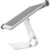 InLine universele tablet-beveiligingsstandaard, voor 10 inch-13 inch, met kabelslot met sleutel