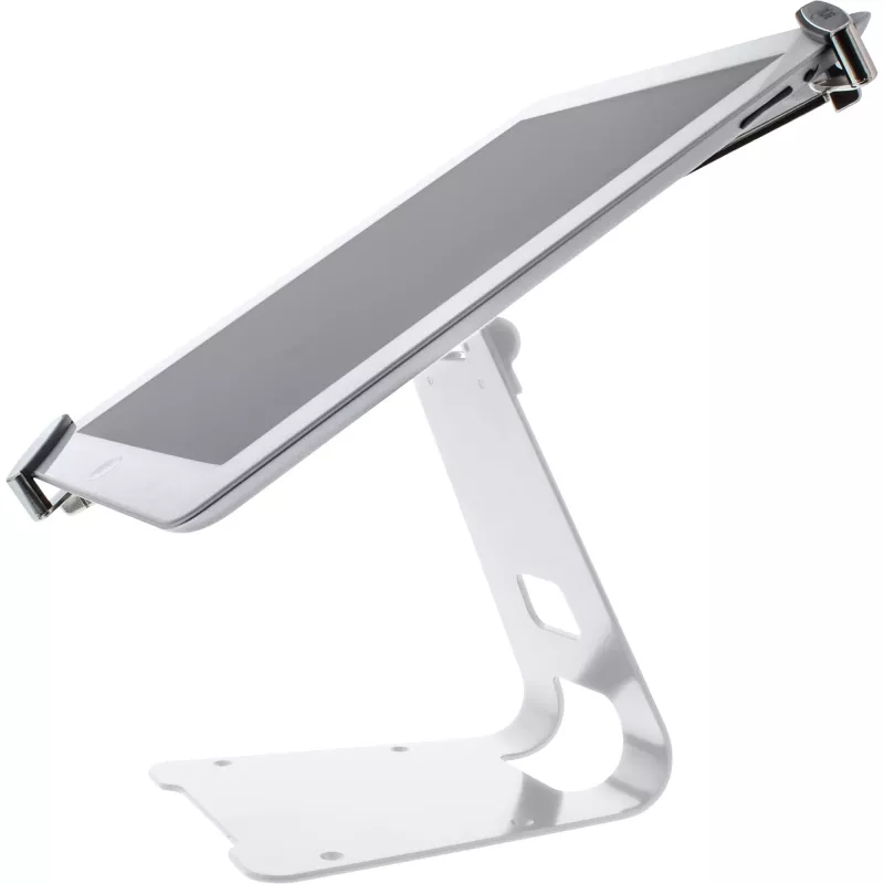 InLine universele tablet-beveiligingsstandaard, voor 10 inch-13 inch, met kabelslot met sleutel