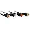 Hama 00122286 audiokabel 3 m 2 x RCA zwart