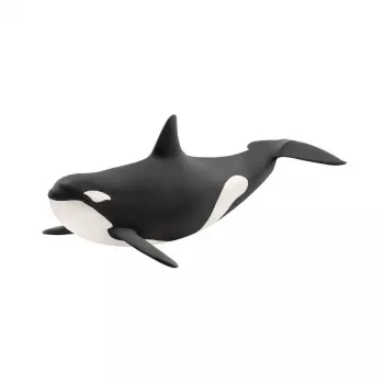 schleich WILD LIFE orka, 3 jaar, ijs & oceaan, wilde dieren / avontuurspeelgoed, veelkleurig, kunststof, 1 stuk