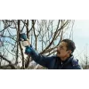 Bosch Pro Pruner Professional accu-grasschaar 2,5 cm 12 V lithium-ion (Li-Ion) zwart, blauw