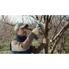Bosch Pro Pruner Professional accu-grasschaar 2,5 cm 12 V lithium-ion (Li-Ion) zwart, blauw