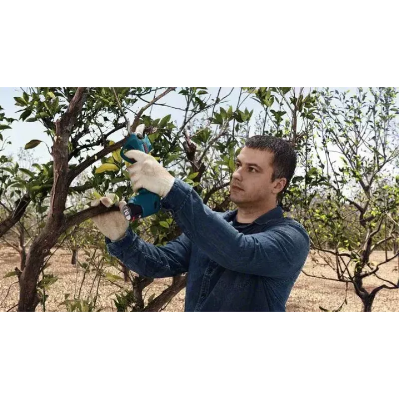 Bosch Pro Pruner Professional accu-grasschaar 2,5 cm 12 V lithium-ion (Li-Ion) zwart, blauw