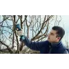 Bosch Pro Pruner Professional accu-grasschaar 2,5 cm 12 V lithium-ion (Li-Ion) zwart, blauw