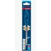 Vlakboor Bosch SELFCUT 17 x 152 mm (2608900316) voor houtboringen