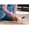 schleich BAYALA 14916 kinderspeelfiguur