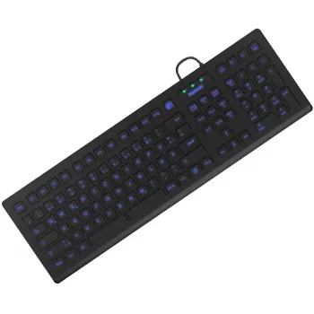 KeySonic KSK-8031INEL-B (DE) toetsenbord industrieel USB QWERTZ Duits zwart