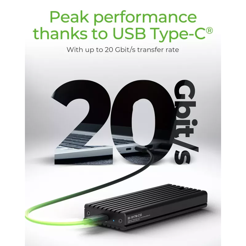 ICY BOX IB-1917M-C32 SSD-behuizing zwart M.2 USB-gevoed