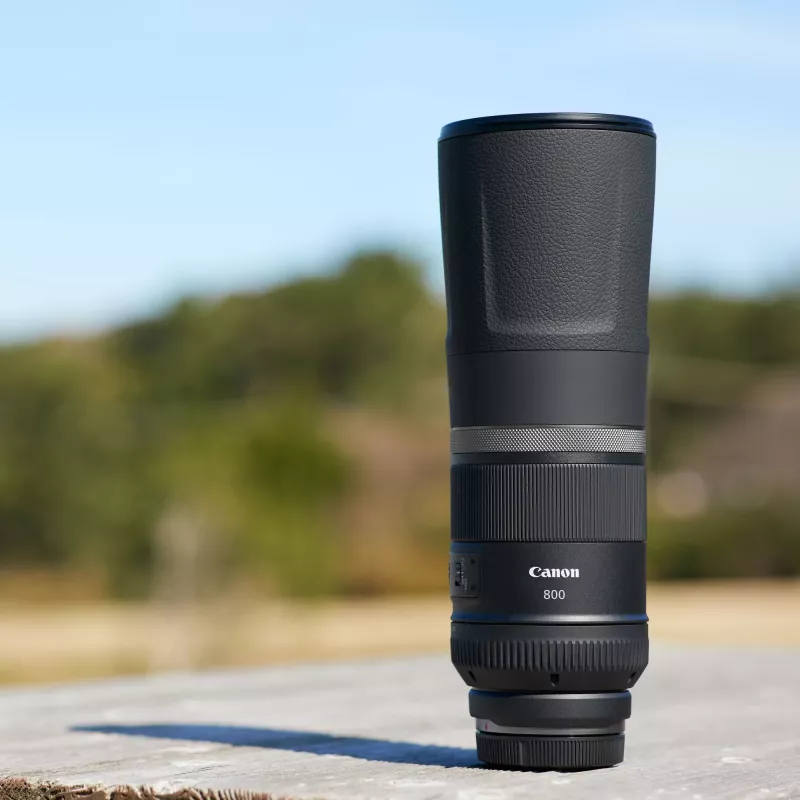 Canon RF 800mm F11 IS STM objectief, teleobjectief, 11/8, Canon RF
