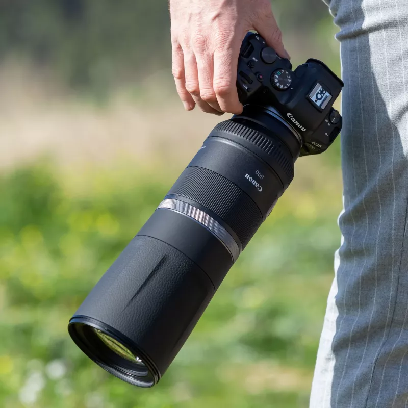 Canon RF 800mm F11 IS STM objectief, teleobjectief, 11/8, Canon RF