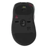 ZOWIE EC3-DW muis gaming rechtshandig USB Type-A optisch 3200 DPI