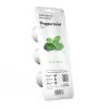 EMSA Click & Grow pepermunt kruidenplantenpot