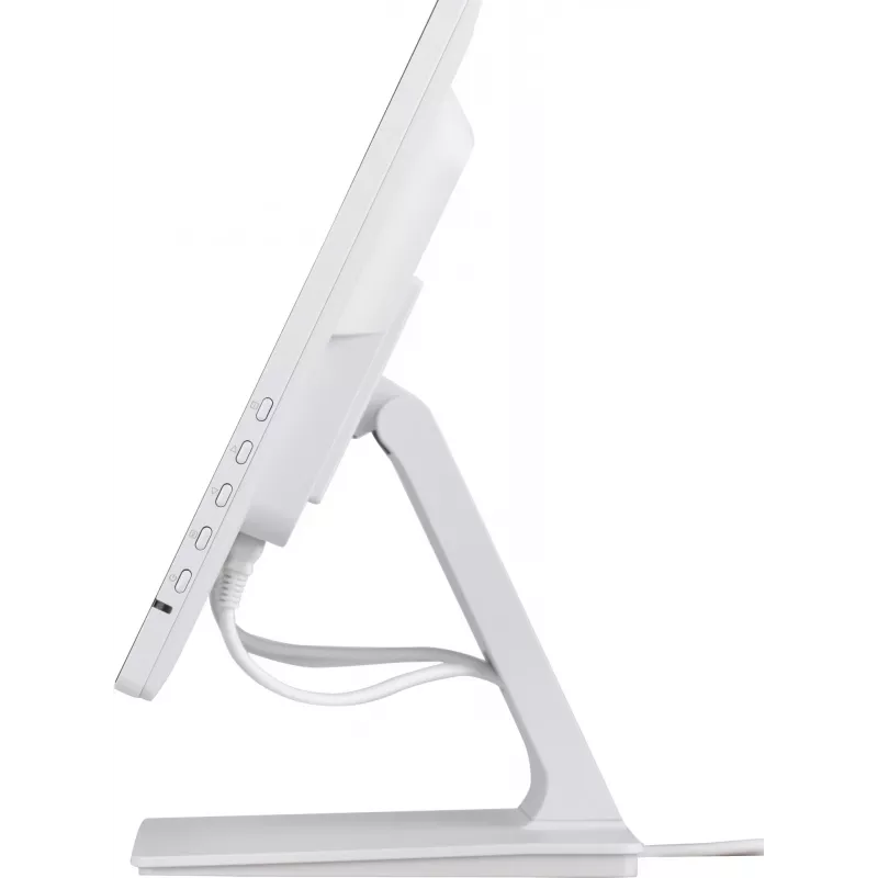 iiyama T2452MSC-W2AG computerscherm 61 cm (24 inch) 1920 x 1080 pixel Full HD LED touchscreen wit