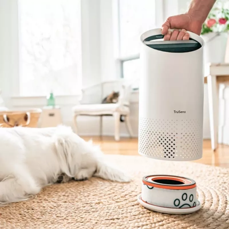 Leitz vervangende koolstoffilter voor TruSens Z-1000 Small Pet-filter, 1 stuk
