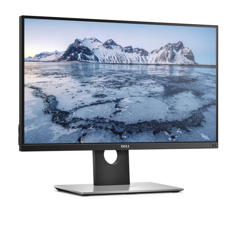 DELL UltraSharp UP2516D computerbeeldscherm 63,5 cm (25 inch) 2560 x 1440 pixels Quad HD LCD zwart, zilver