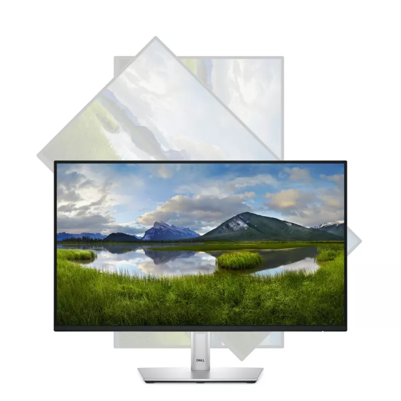 DELL Pro Plus P2425H computermonitor 60,5 cm (23,8