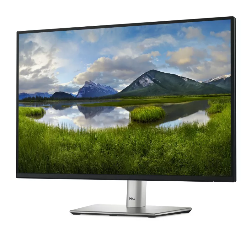 DELL Pro Plus P2425 computermonitor 61,1 cm (24,1 inch) 1920 x 1200 pixel WUXGA lcd zwart