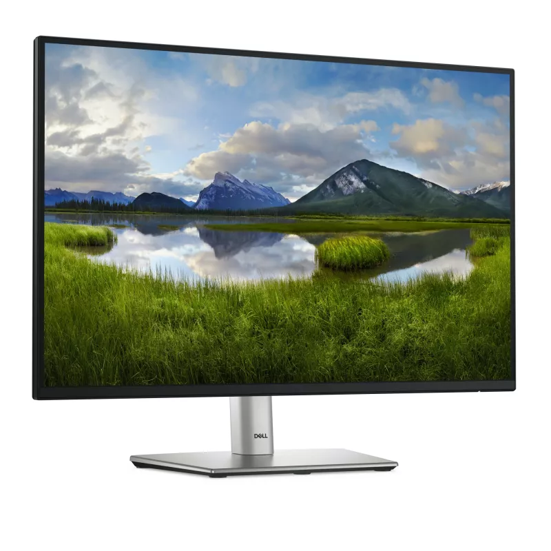 DELL Pro Plus P2425 computermonitor 61,1 cm (24,1 inch) 1920 x 1200 pixel WUXGA lcd zwart