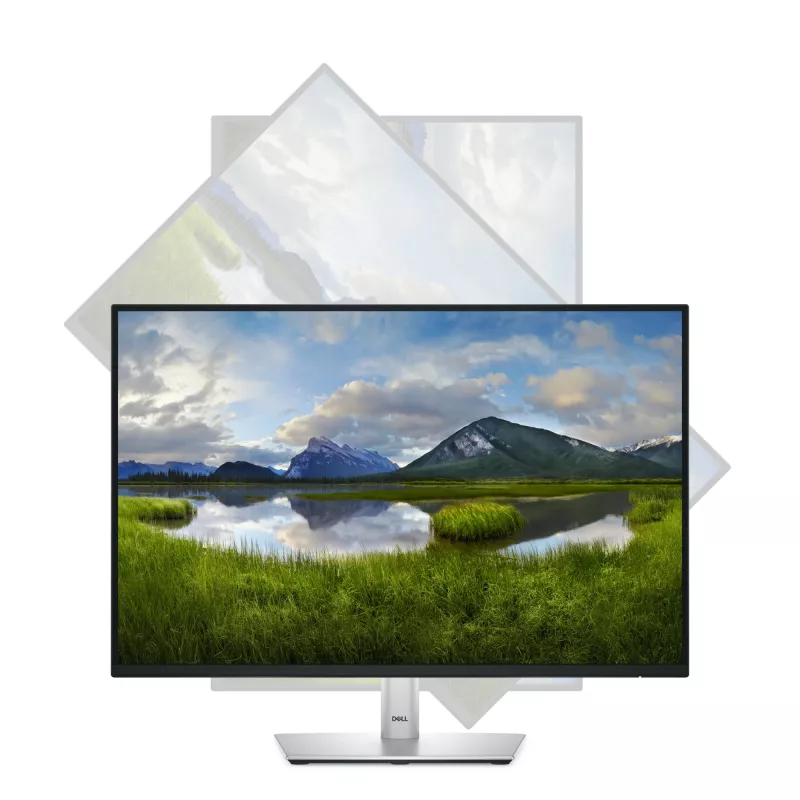 DELL Pro Plus P2425 computermonitor 61,1 cm (24,1 inch) 1920 x 1200 pixel WUXGA lcd zwart