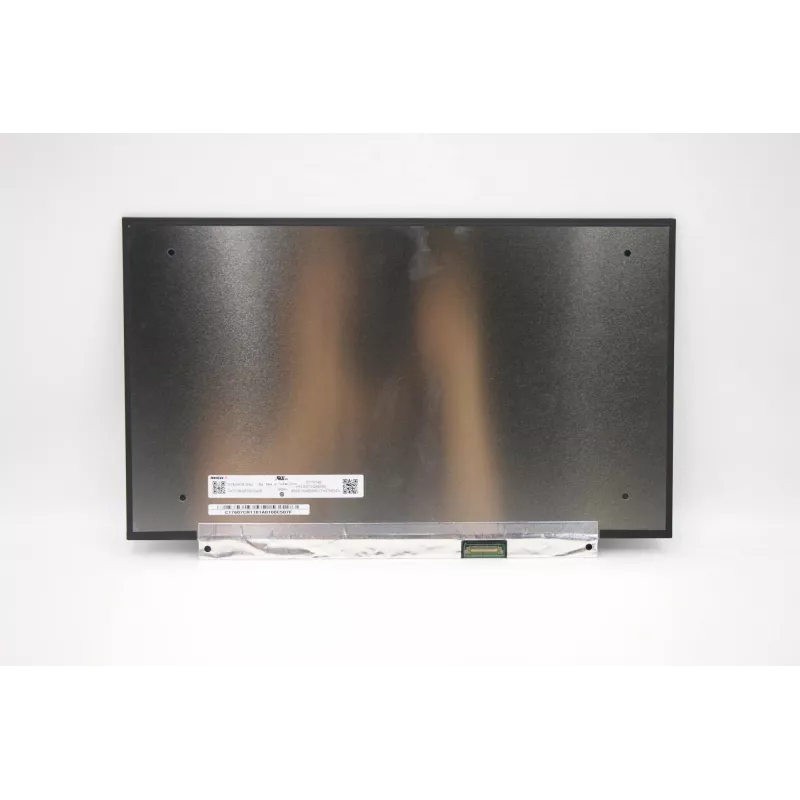 Lenovo 5D10Z86945 Laptop-onderdeel Display