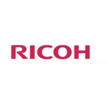 Ricoh 410133 printerkit