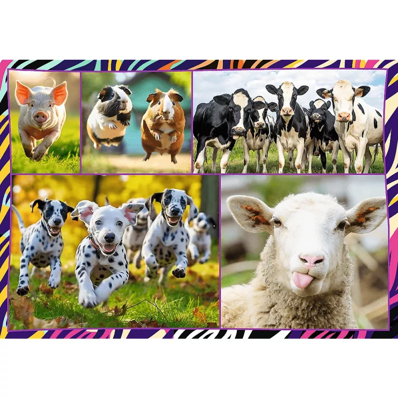 Puzzel TREFL Funny — 4 x 250 stukjes, themaset voor kinderen