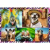 Puzzel TREFL Funny — 4 x 250 stukjes, themaset voor kinderen