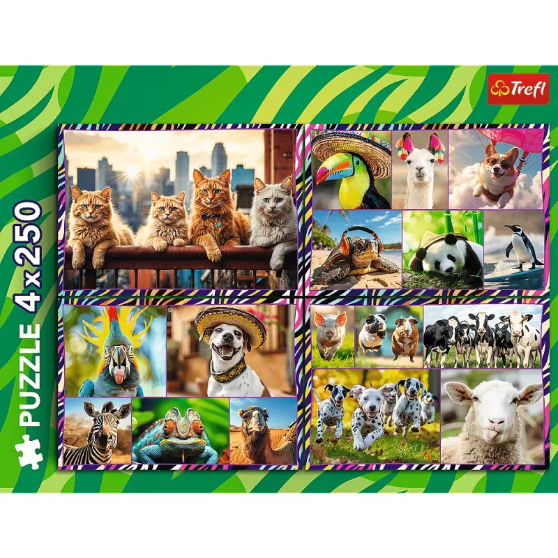 Puzzel TREFL Funny — 4 x 250 stukjes, themaset voor kinderen
