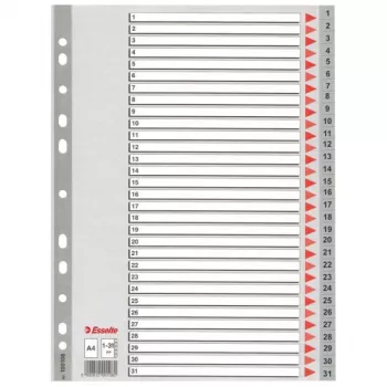 Esselte index 1-31 PP A4 grijs, numeriek register, polypropyleen (PP), A4, 225 mm, 297 mm, 1 stuk