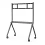 MAXHUB ST33M mobiele standaard, grijs, multimediastandaard, 100 kg, 139,7 cm (55