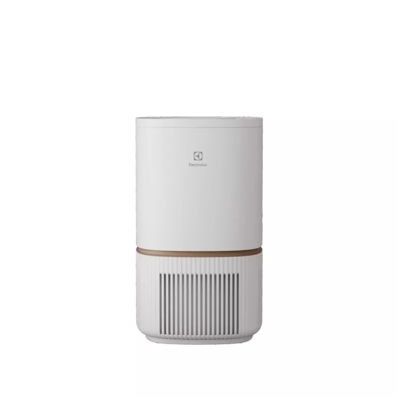 Luchtreiniger Electrolux EPO50351SW — deksel 41 m², CADR 215 m³/h, geluidsniveau 22 dB, wit