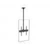 Flatscreen-montagearm Multibrackets M Pro Series Fixed Arms 600 mm, staal, zwart, 2-pack