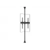 Flatscreen-montagearm Multibrackets M Pro Series Fixed Arms 600 mm, staal, zwart, 2-pack