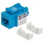 Intellinet Keystone-bus, Cat6, UTP, LSA, Blauw, Vlak, Blauw, RJ-45, Bus, 22/26, Cat6