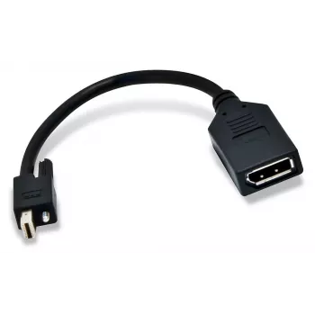 Matrox mini DisplayPort naar DisplayPort adapter / CAB-MDP-DPF