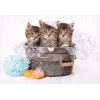 Clementoni 4-6 puzzel