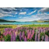Clementoni High Quality Collection 31731 puzzel 1500 stukjes landschap