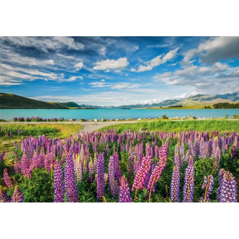 Clementoni High Quality Collection 31731 puzzel 1500 stukjes landschap