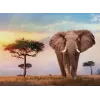 Clementoni African Sunset puzzel 500 stukjes dieren