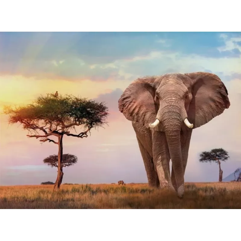 Clementoni African Sunset puzzel 500 stukjes dieren