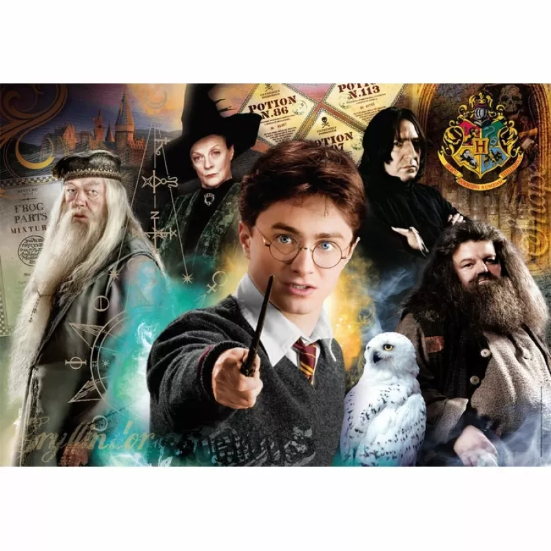 Clementoni Wizarding World Harry Potter puzzel 500 stukjes tv-series/films