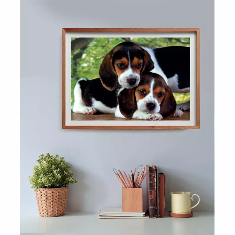 Clementoni High Quality Collection Close Together puzzel 500 stuks dieren