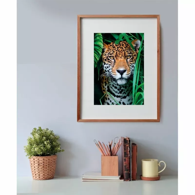 Clementoni High Quality Collection Jaguar in de jungle puzzel 500 stukjes dieren