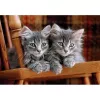 Clementoni High Quality Collection 35580 Puzzel 500 stukjes Dieren