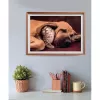 Clementoni High Quality Collection 35583 Puzzel 500…