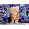Clementoni High Quality Collection 35585 Puzzel 500 stukjes Dieren