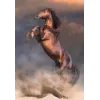 Clementoni 500 stukjes CB HQC Wild Red Stallion