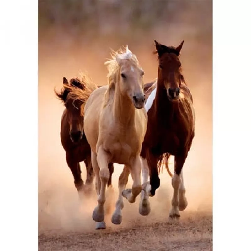Clementoni Running Horses Puzzel 1000 stukjes Dieren