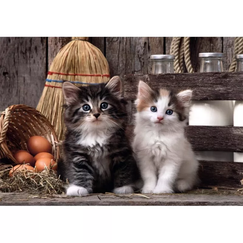 Clementoni High Quality Collection 39943 Puzzel 1000 stukjes Dieren