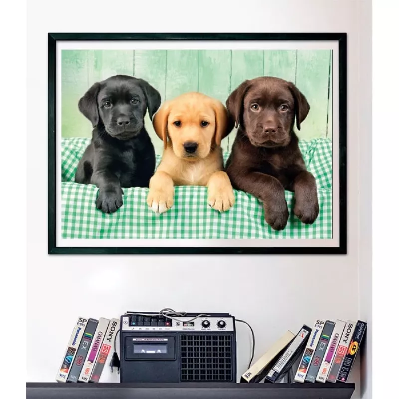 Clementoni High Quality Collection 39946 Puzzel 1000 stuks Dieren